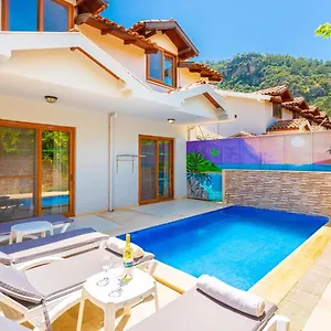 https://villa-elmas-paradise.aegeanhotels.net